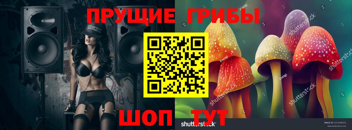 Галлюциногенные грибы GOLDEN TEACHER  Вход с VPN  Ртищево 