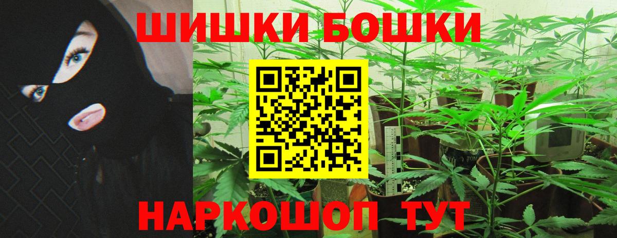МАРИХУАНА сатива Ртищево